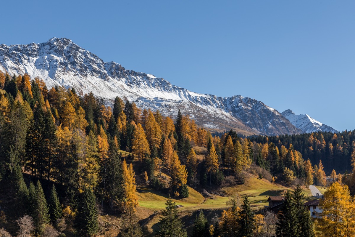 Herbst in Churwalden in Graubünden