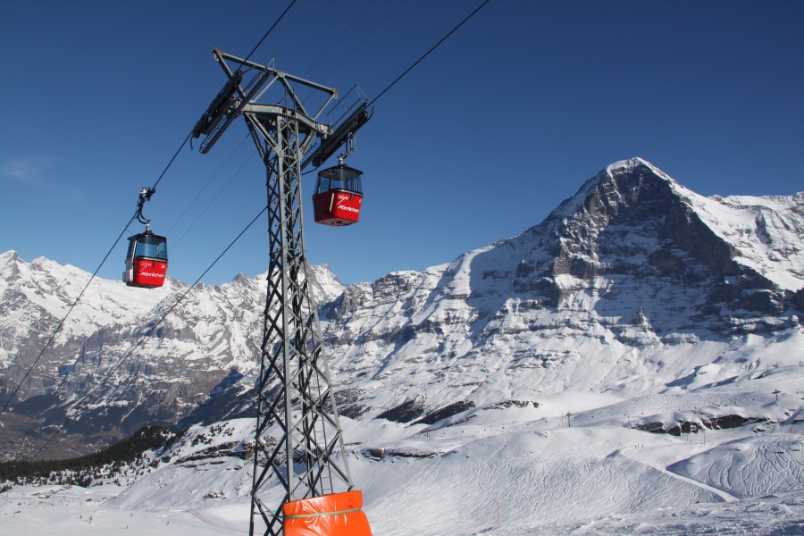 Grindelwald - Wengen - Jungfrauregion • Schweizer Urgesteine