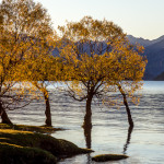 Herbststimmung am Lake Wanaka & Lake Hawea