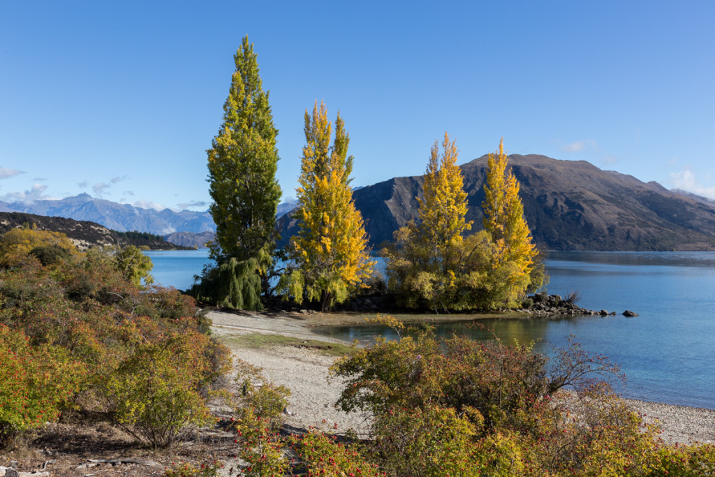 Herbst am Lake Wanaka