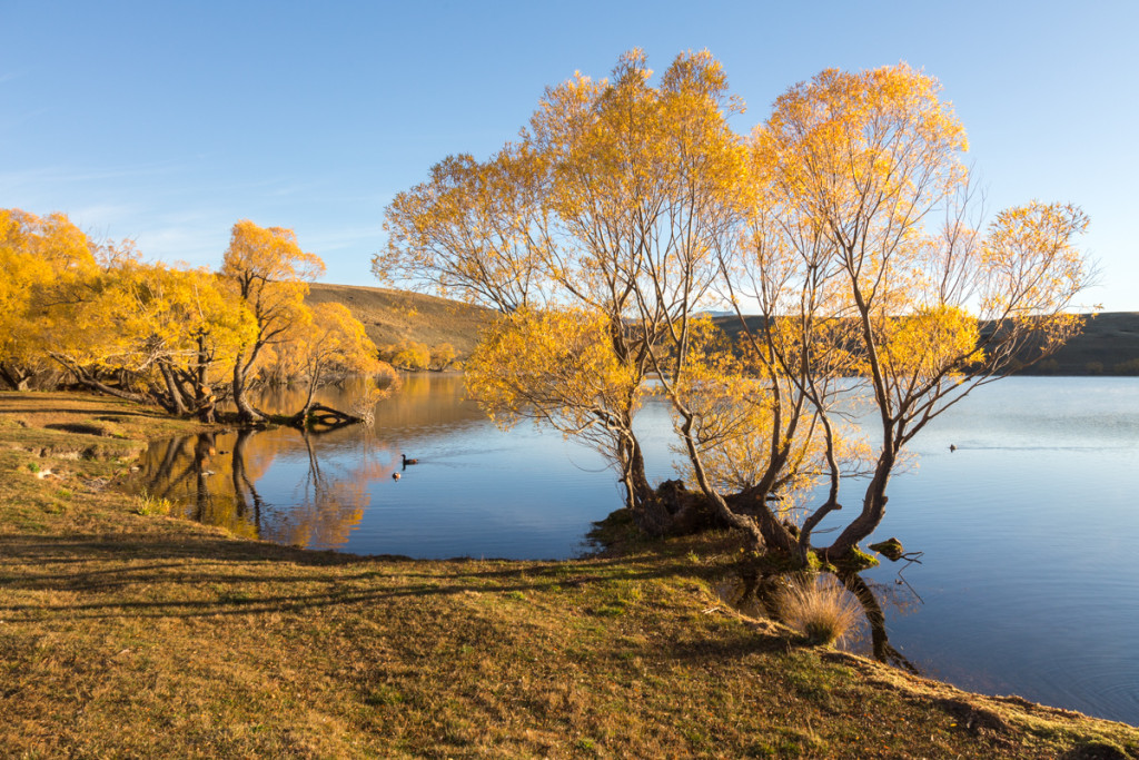 Sonnenaufgang am Lake MacGregor