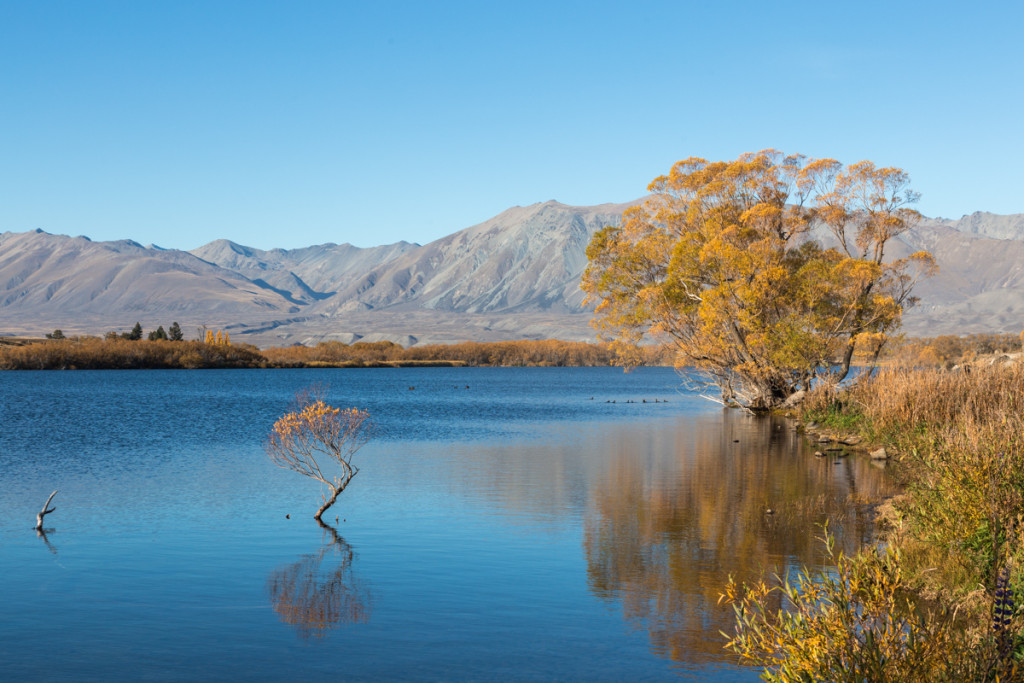 Herbstfarben am Lake MacGregor